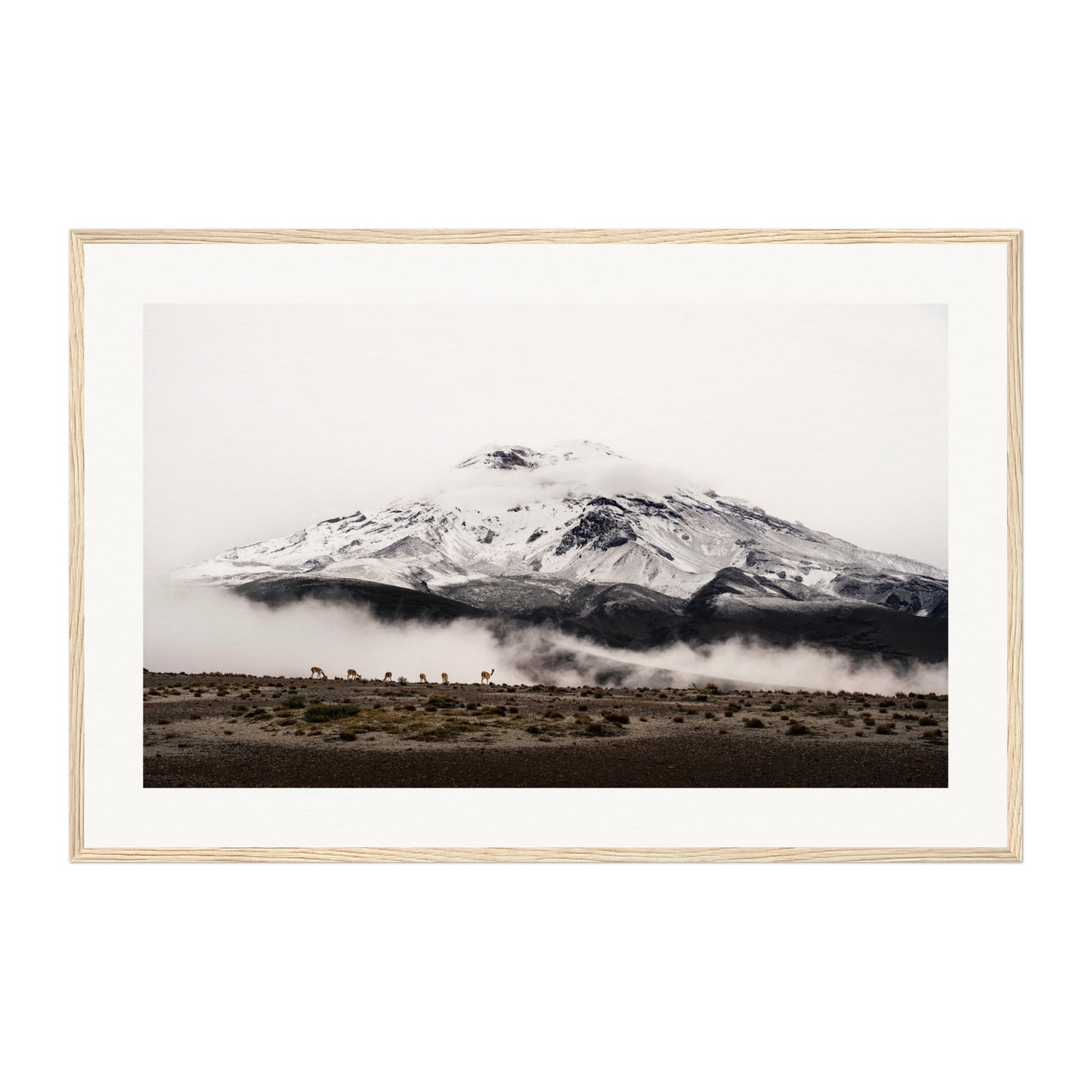 Chimborazo, Ecuador Wall Art - Uncharted Borders