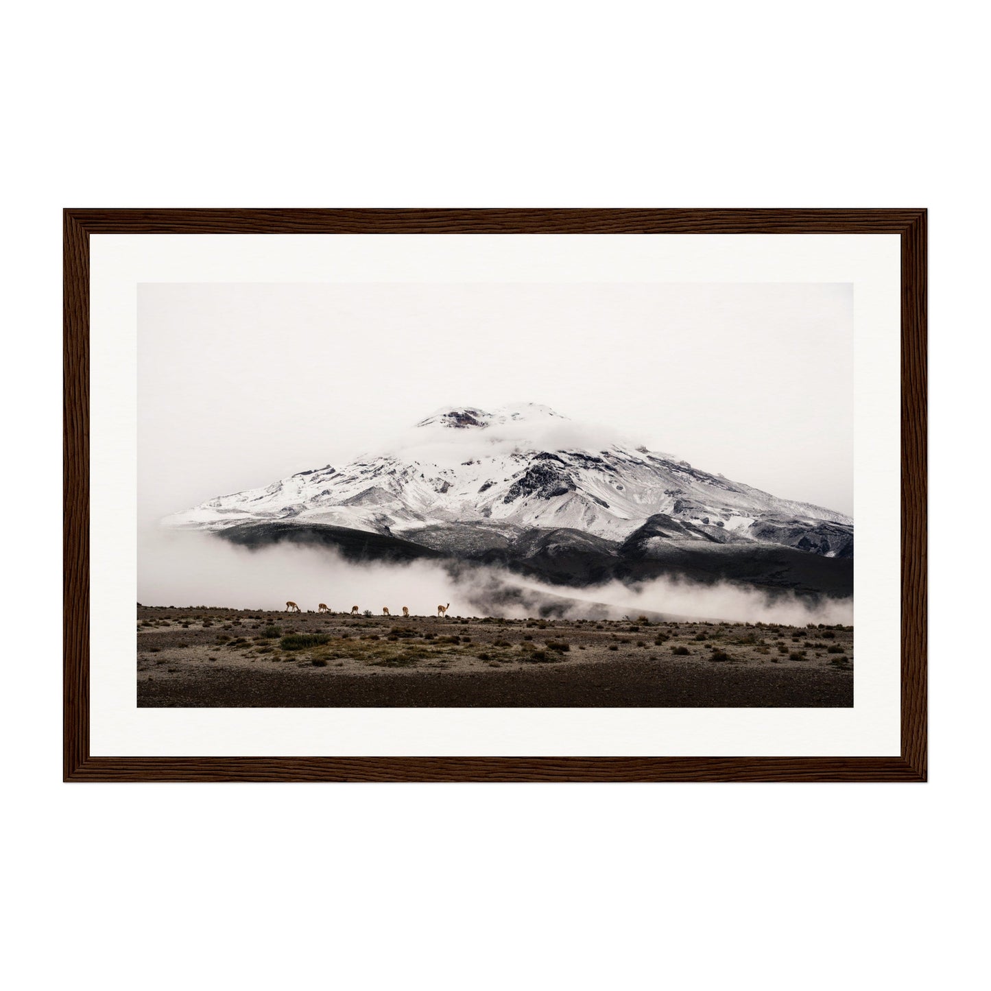 Chimborazo, Ecuador Wall Art - Uncharted Borders