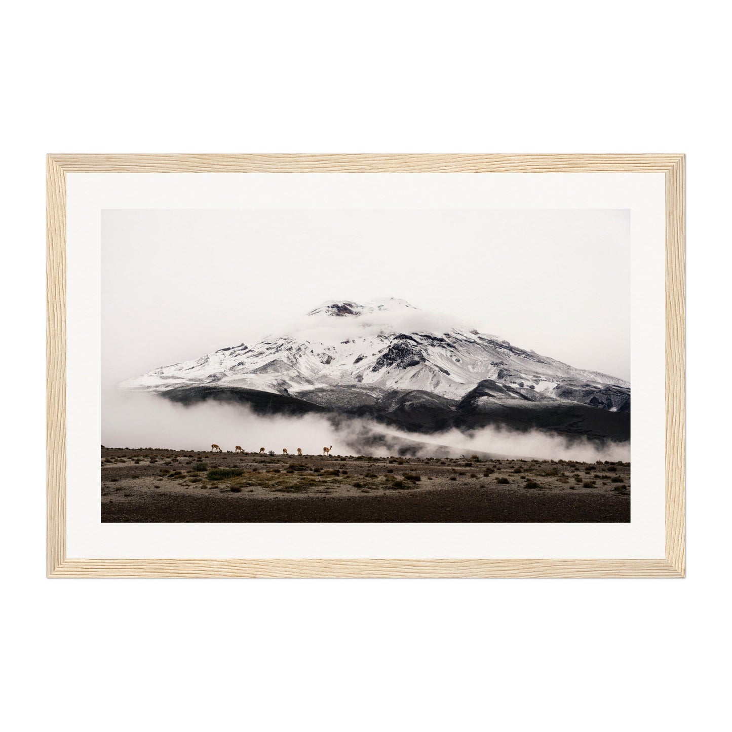 Chimborazo, Ecuador Wall Art - Uncharted Borders