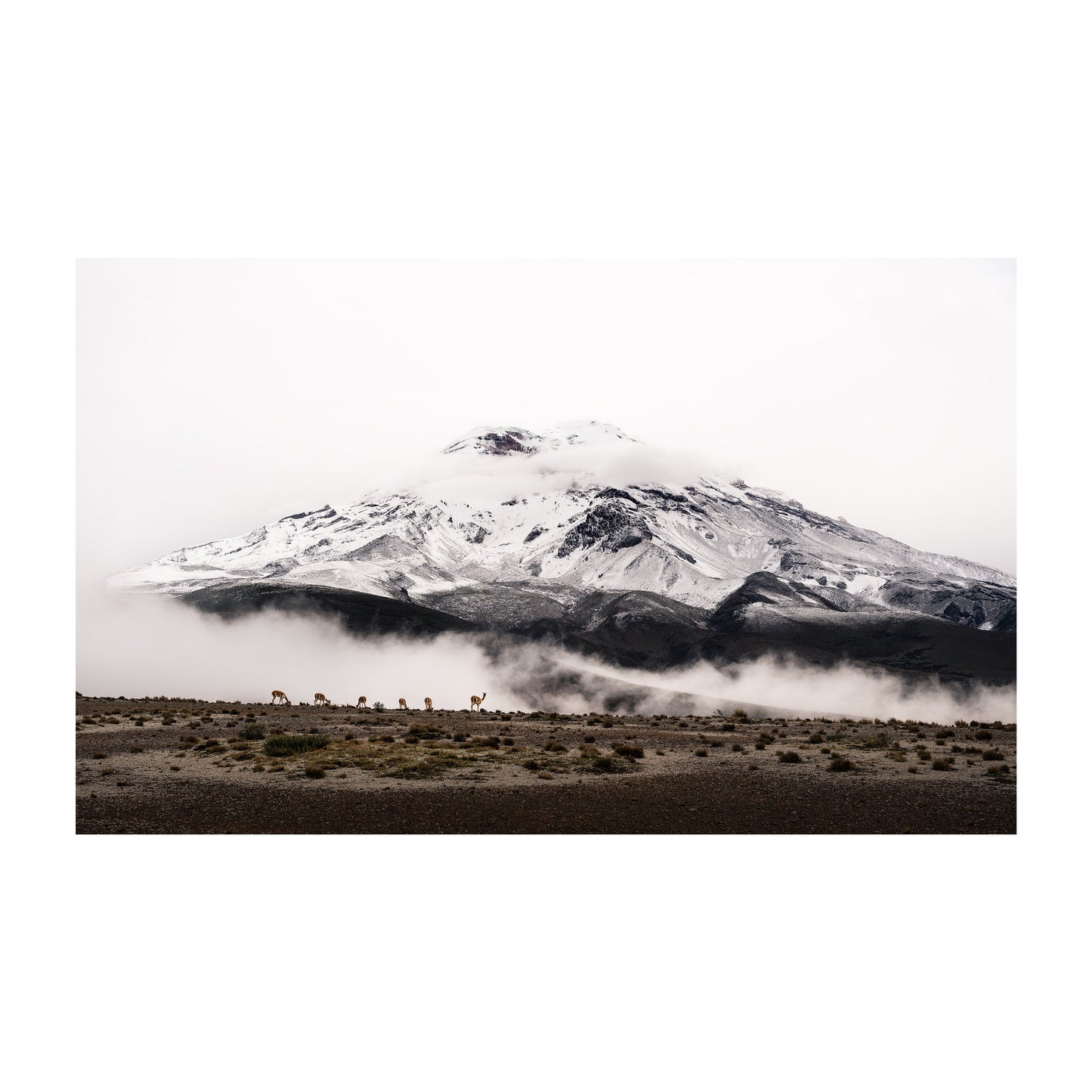 Chimborazo, Ecuador Wall Art - Uncharted Borders