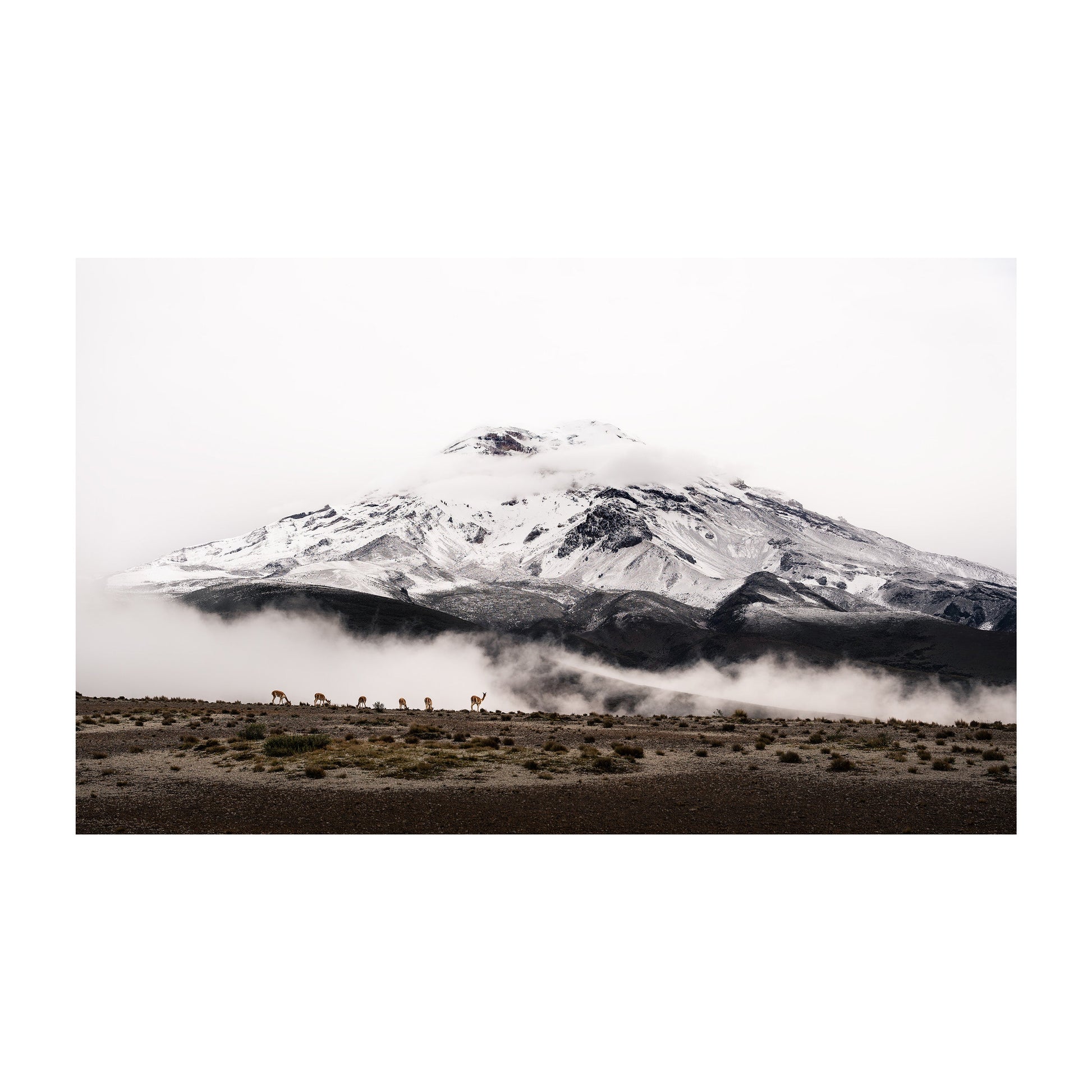 Chimborazo, Ecuador Wall Art - Uncharted Borders