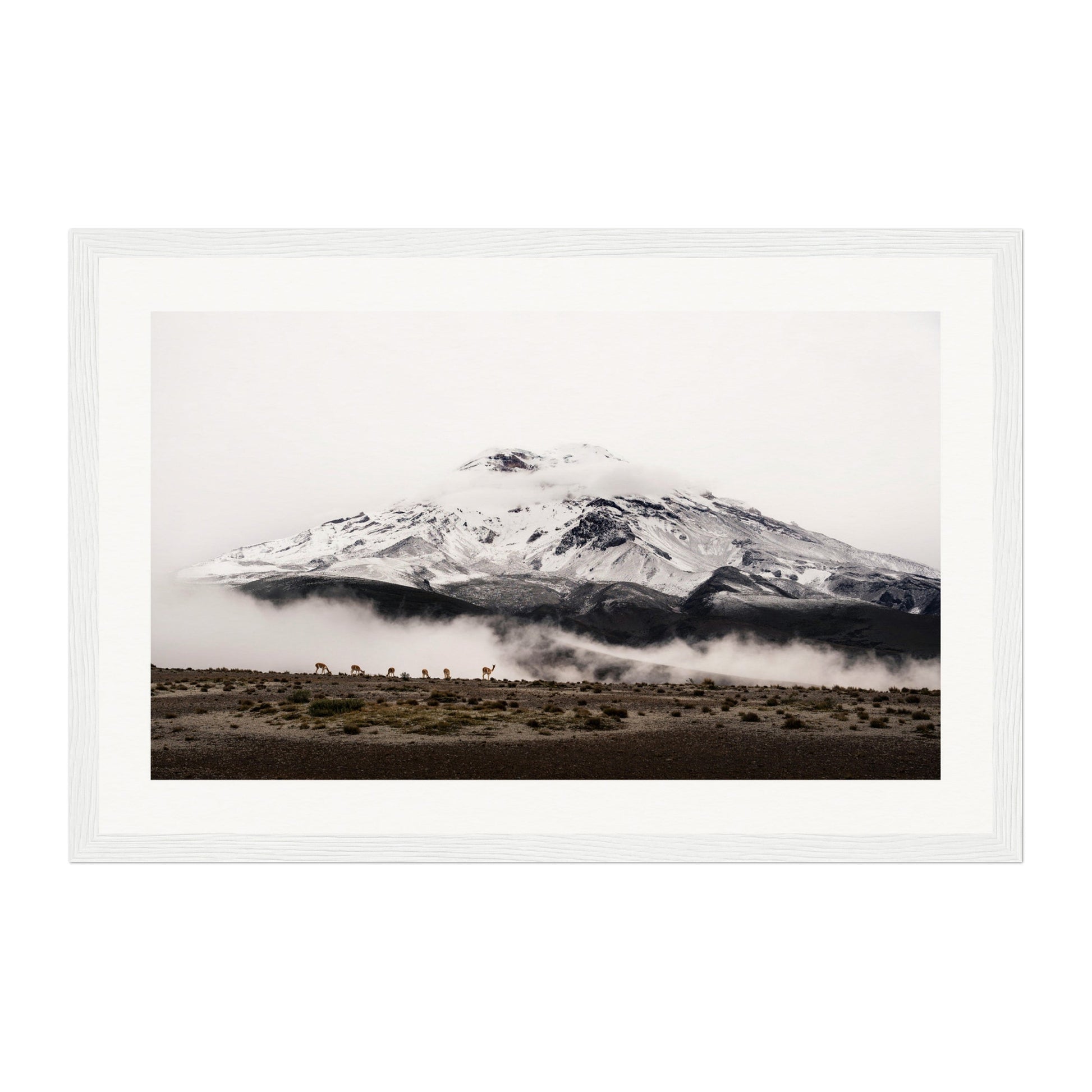 Chimborazo, Ecuador Wall Art - Uncharted Borders