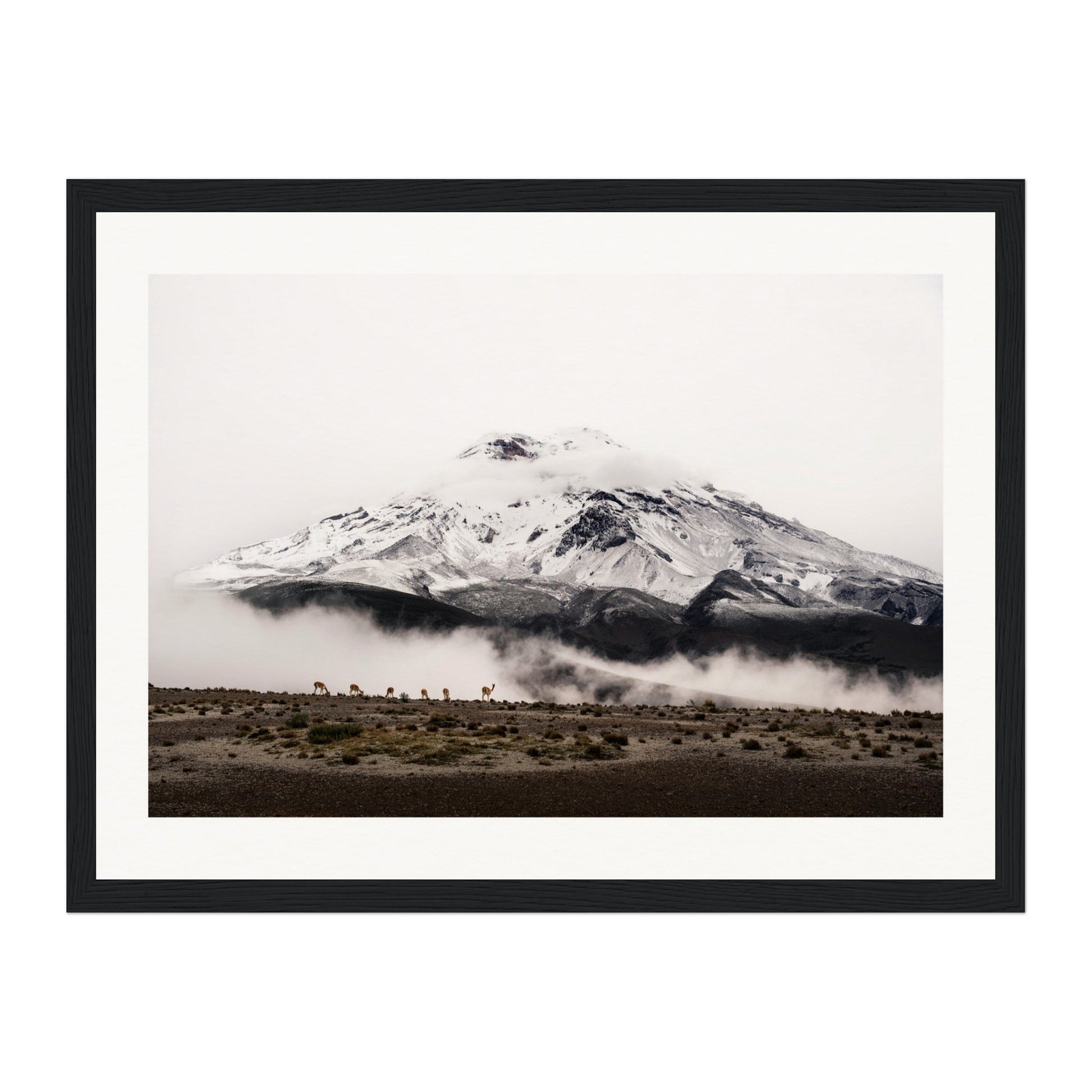 Chimborazo, Ecuador Wall Art - Uncharted Borders